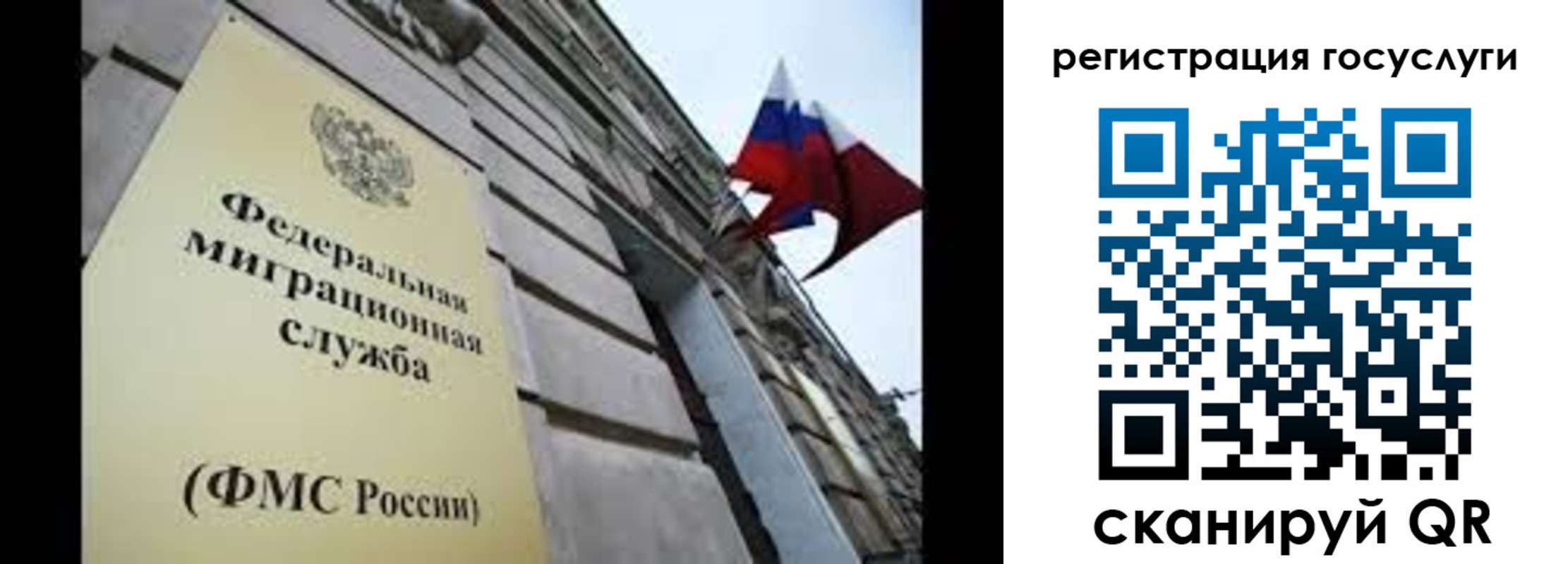 прописка для школы в Суворове